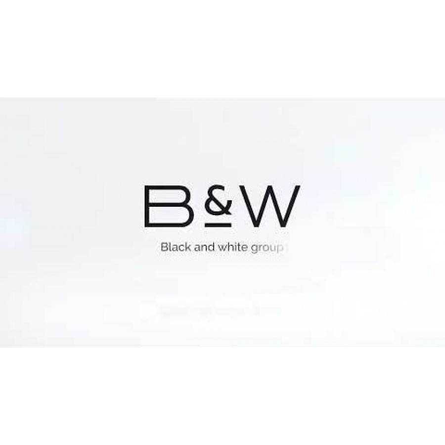 Душевой уголок Black&White Stellar Wind S101-100 100х100 Душевой уголок Black&White Stellar Wind S101-100 100х100
